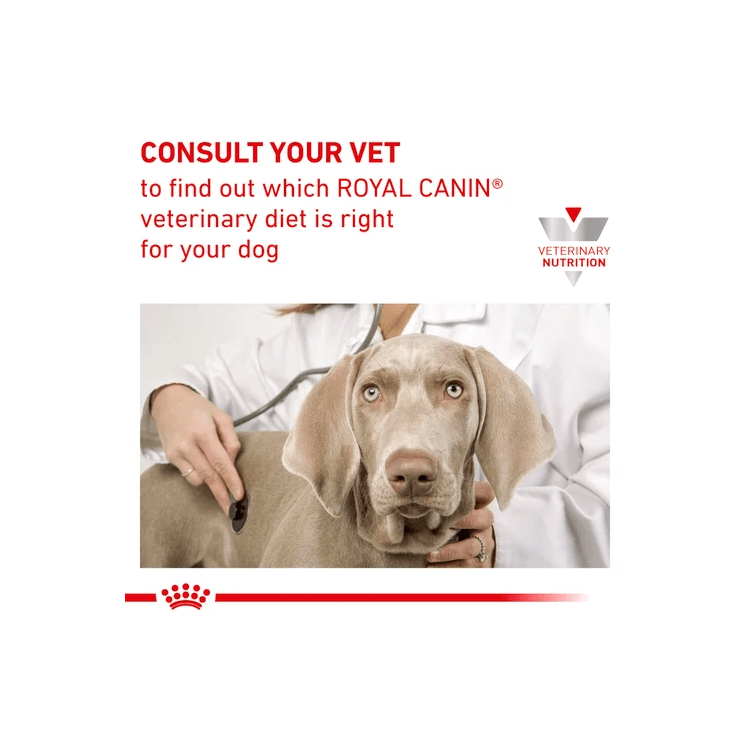 ROYAL CANIN K9 MATURE LARGE DOG 14KG