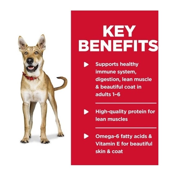 HILL'S SCIENCE DIET K9 ADULT CHICKEN & BARLEY 370GM 12s