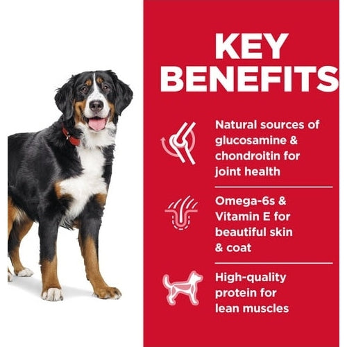 HILL'S SCIENCE DIET K9 ADULT LARGE BREED 12KG