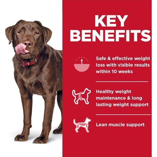 HILL'S SCIENCE DIET K9 PERFECT WEIGHT 11.34KG LARGE BREED