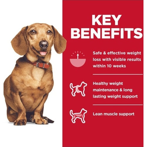 HILL'S SCIENCE DIET K9 PERFECT WEIGHT SMALL & MINI