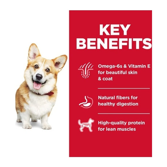 HILL'S SCIENCE DIET K9 ADULT SMALL BITES