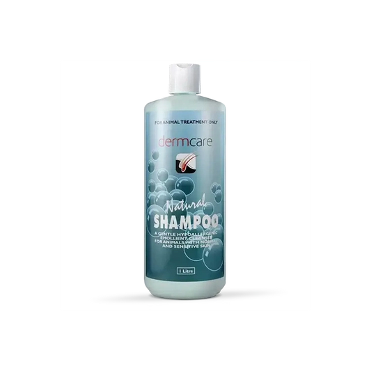 DERMCARE NATURAL SHAMPOO