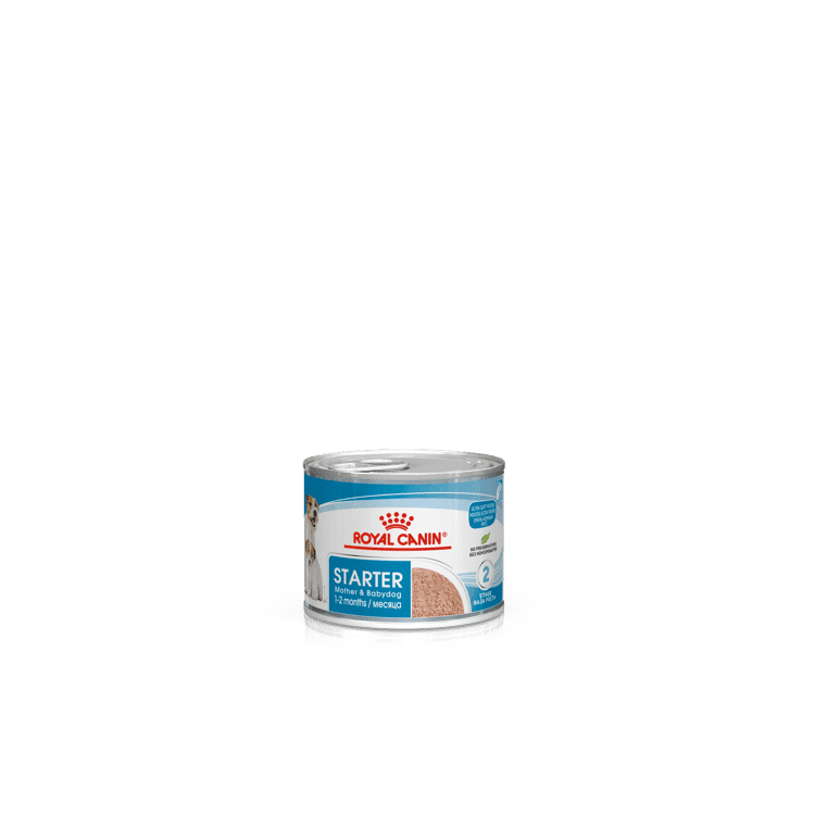 ROYAL CANIN K9 STARTER MOUSSE 195g 12s CANS