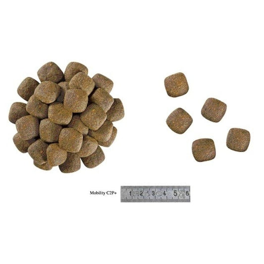 ROYAL CANIN K9 MOBILITY C2P+