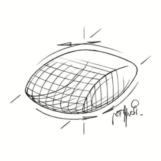 ROYAL CANIN K9 EARLY RENAL