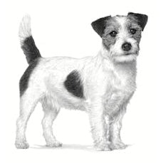 ROYAL CANIN K9 SATIETY SML DOG 3KG