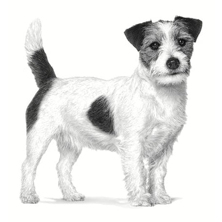 ROYAL CANIN K9 CALM SML DOG 4KG