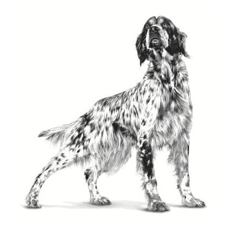 ROYAL CANIN K9 ANALLERGENIC