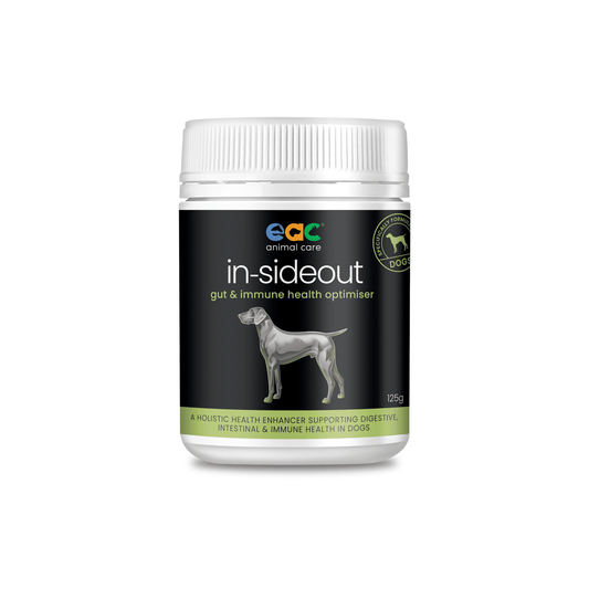 EAC IN-SIDEOUT DOG