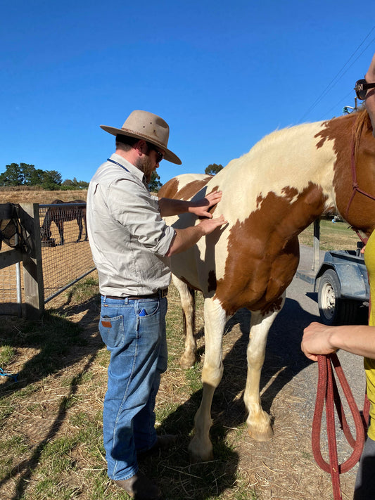 Horse Vaccinations - Which ones do you need and why?