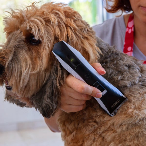 Dog - Clippers / Blades & Accessories