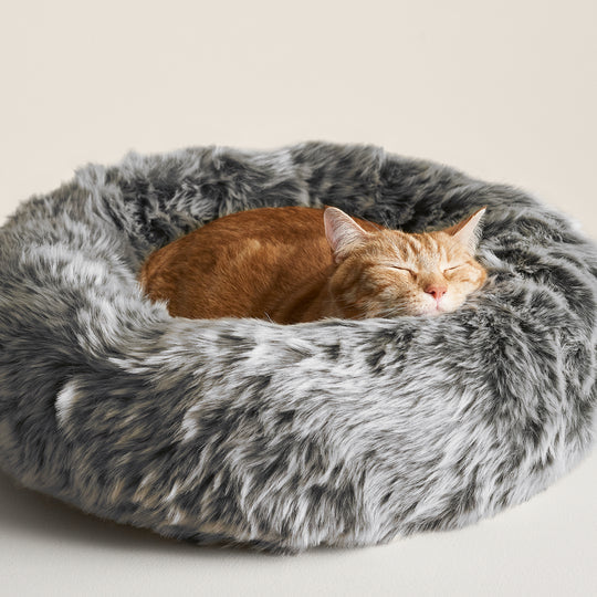Cat Beds