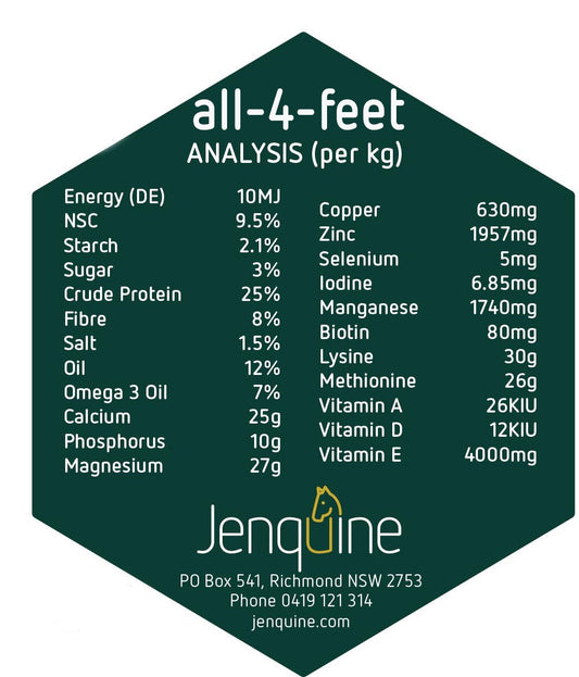 JENQUINE ALL 4 FEET