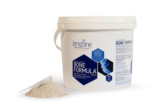 JENQUINE BONE FORMULA FORTE