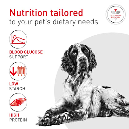 ROYAL CANIN K9 GLYCOBALANCE (FORMERLY K9 DIABETIC)