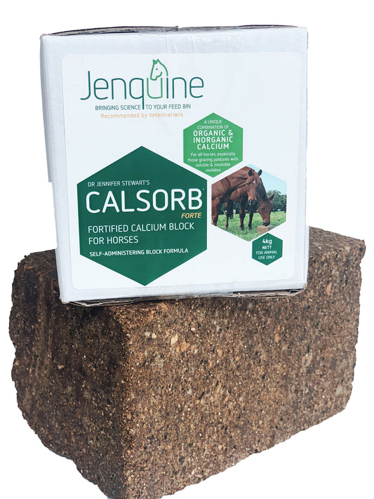 JENQUINE CALSORB FORTE 18KG