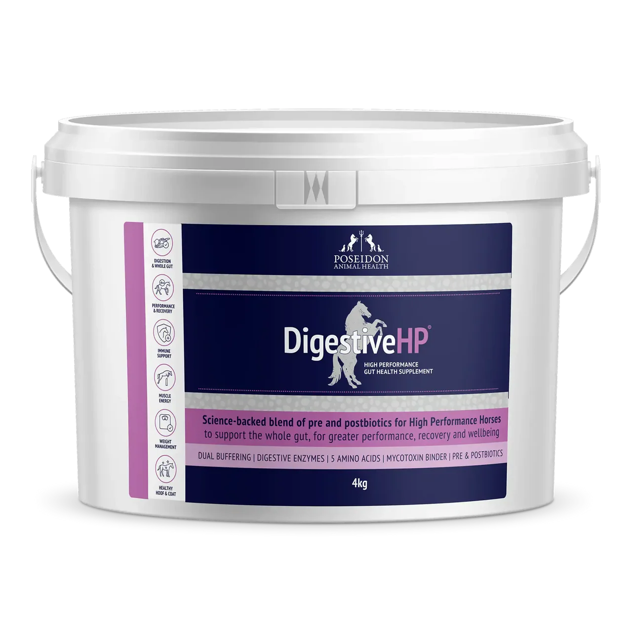 DIGESTIVE HP - PREVIOUSLY DIGESTIVE RP