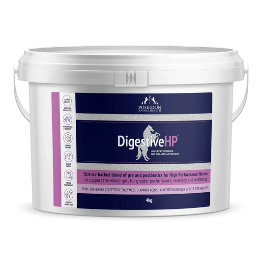DIGESTIVE HP - PREVIOUSLY DIGESTIVE RP