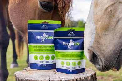 METABOLIZE