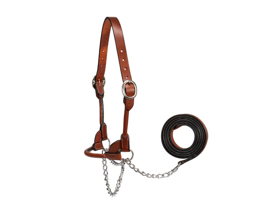 ROLLED SHOW CATTLE HALTER - TAN