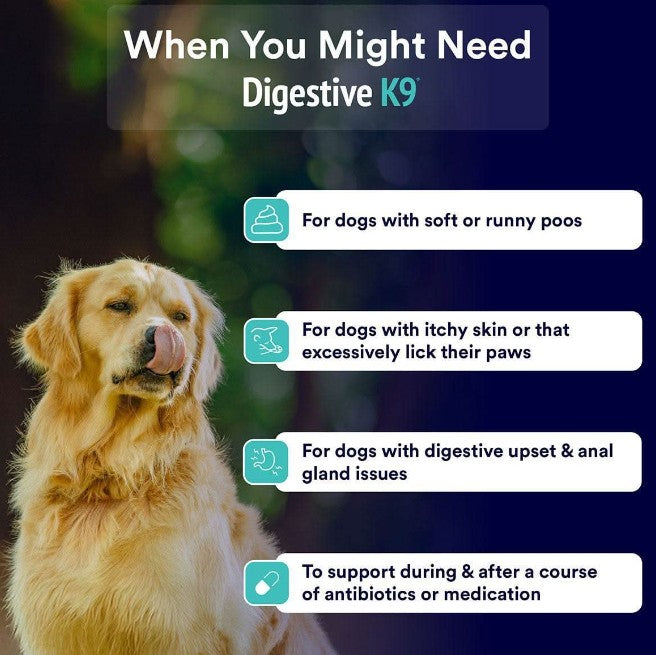 Dog with text about digestive issues and products needed for dogs with specific health problems.