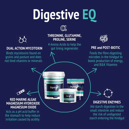 DIGESTIVE EQ