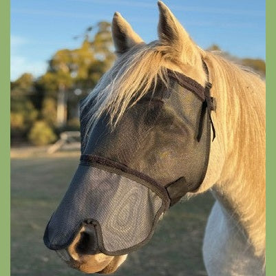 Horse wearing a fly mask with a blurred natural background