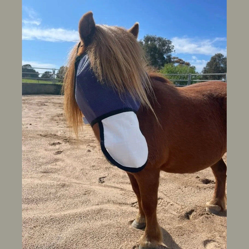 Horse wearing flyveil with nose