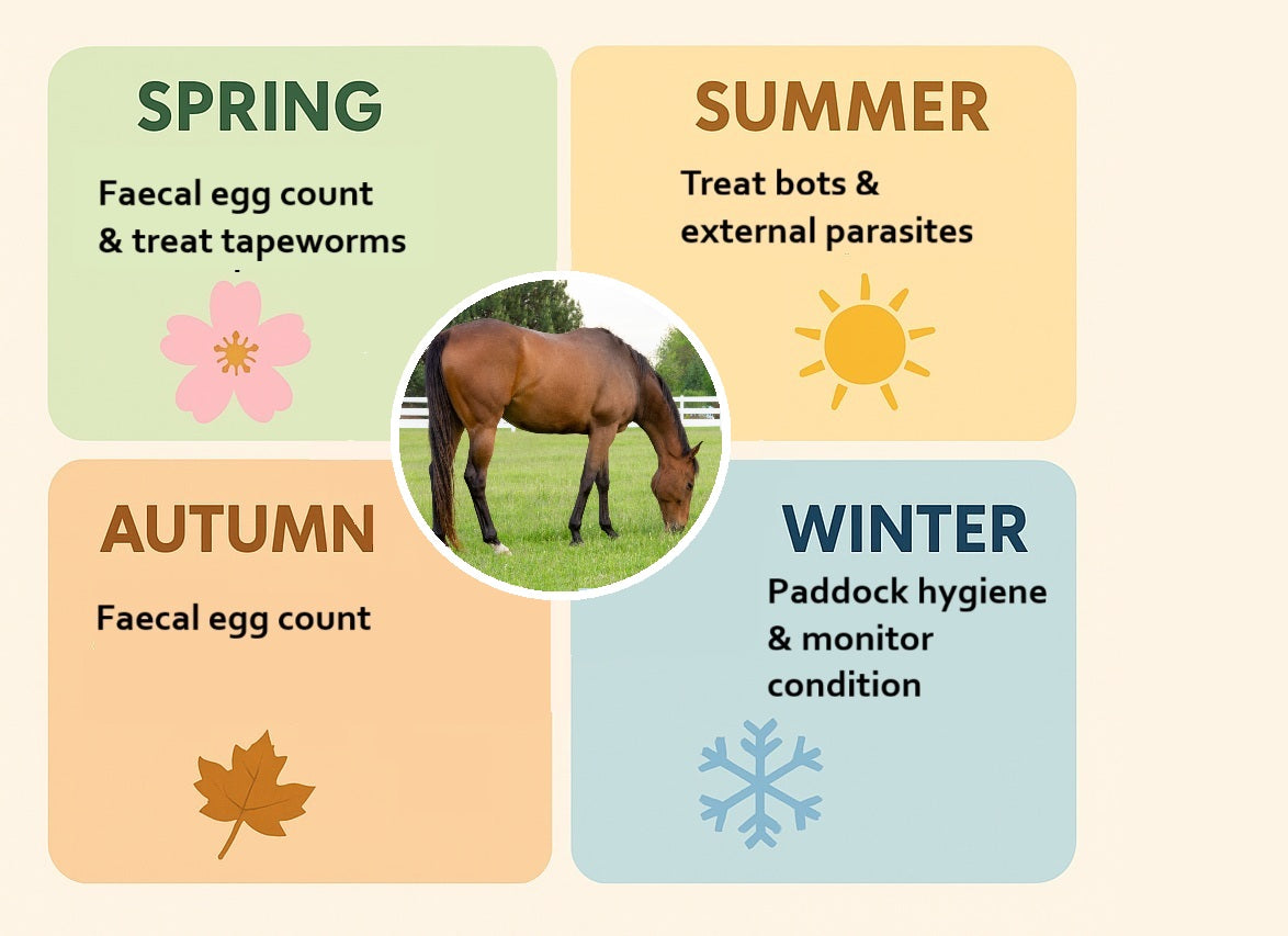 Seasonal horse care tips with images and text on a light beige background