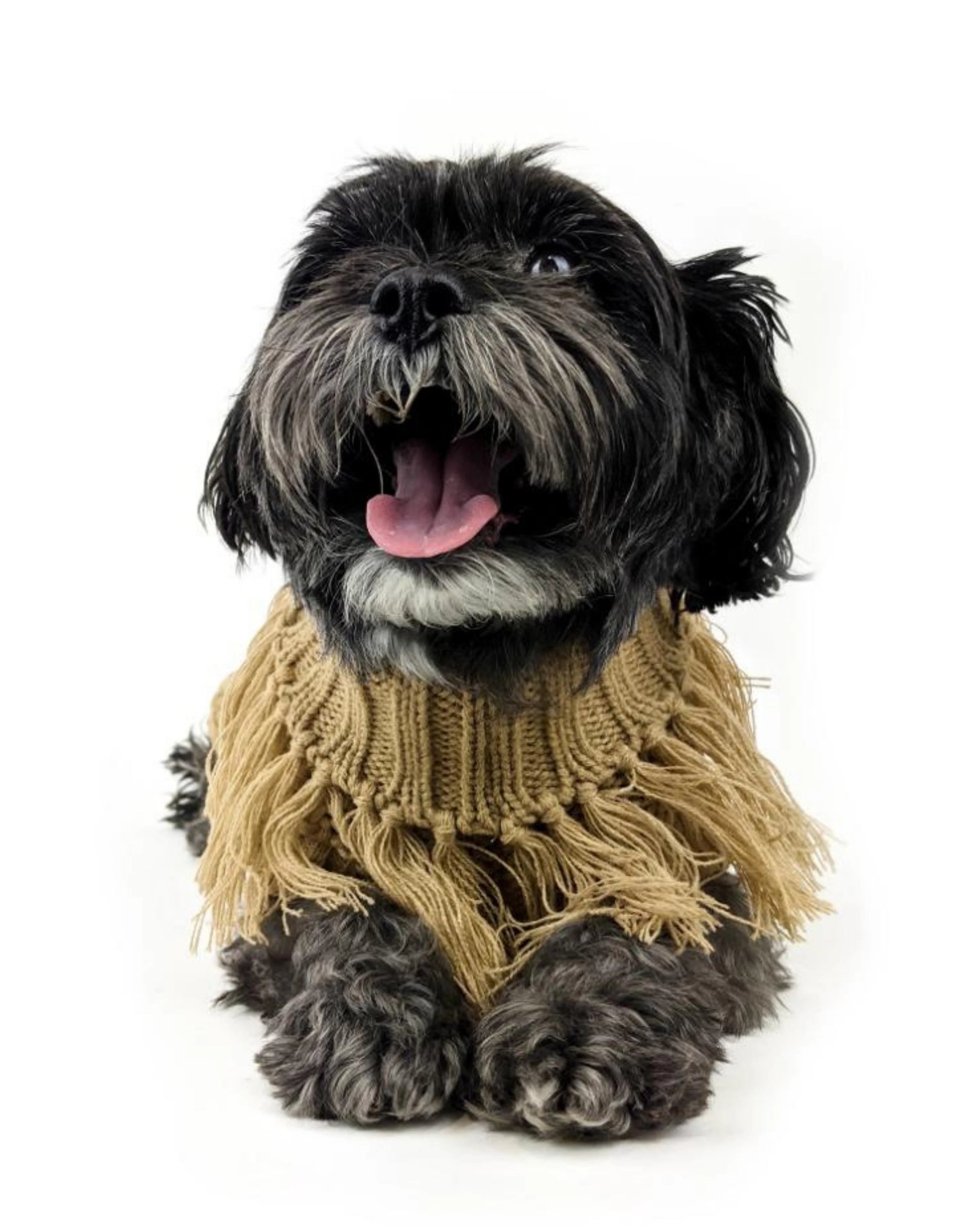 Dog wear Huskimo Dog Coat