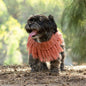 Dog wearing huskimo dog coat
