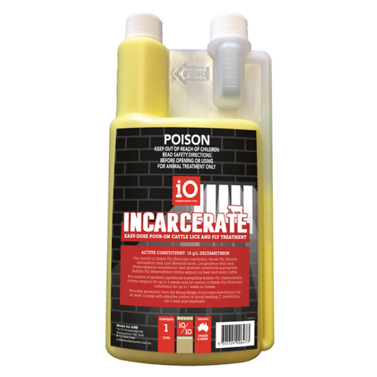 iO INCARCERATE