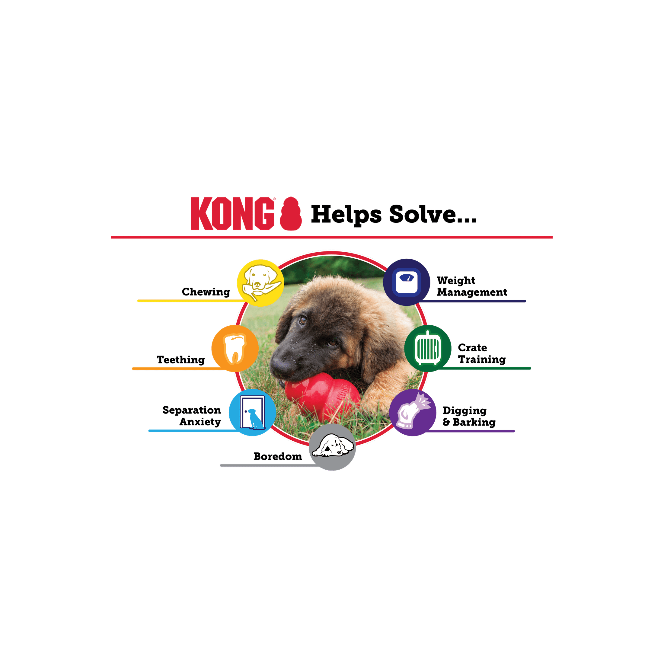 CVS Online, Pet, Vet & Hobby Farm Supplies CVS Online Vet, Pet & Farm