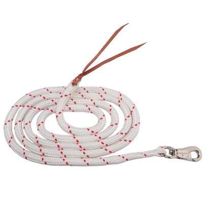HORSEMANSHIP TRAINING LEAD W/BULL SNAP