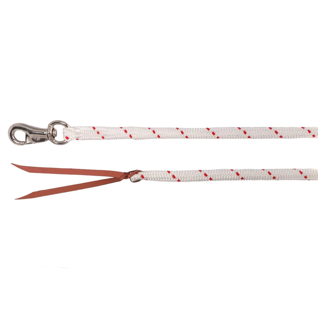 HORSEMANSHIP TRAINING LEAD W/BULL SNAP