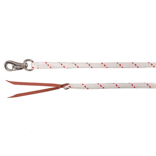 HORSEMANSHIP TRAINING LEAD W/BULL SNAP