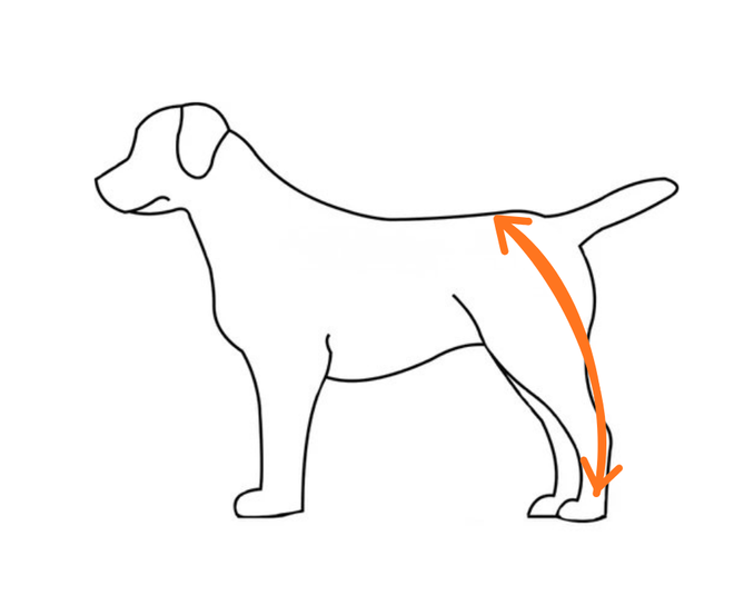 DOG RECOVERY SUIT - LEFT HIND LEG SLEEVE
