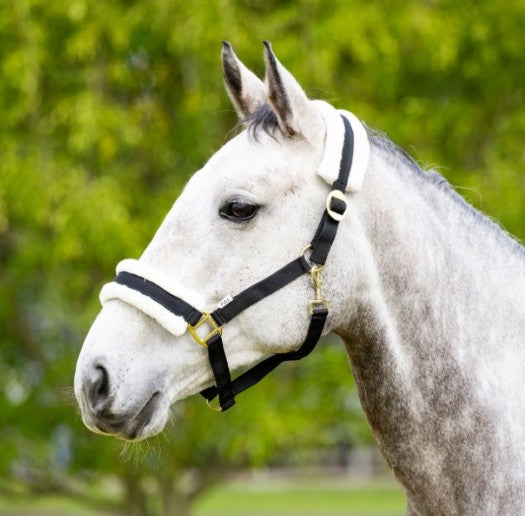 FLEECE BACKED HEADSTALL