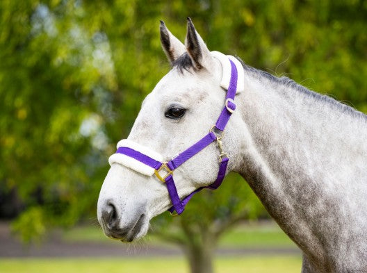 FLEECE BACKED HEADSTALL