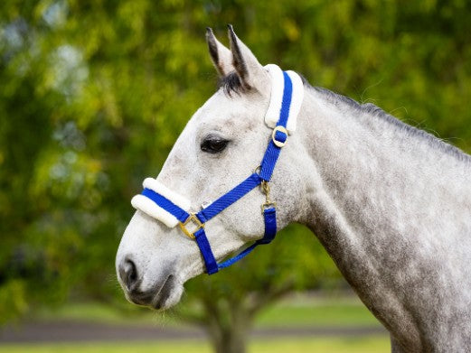 FLEECE BACKED HEADSTALL