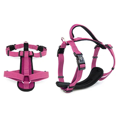BAINBRIDGE PREMIUM SPORTS HARNESS