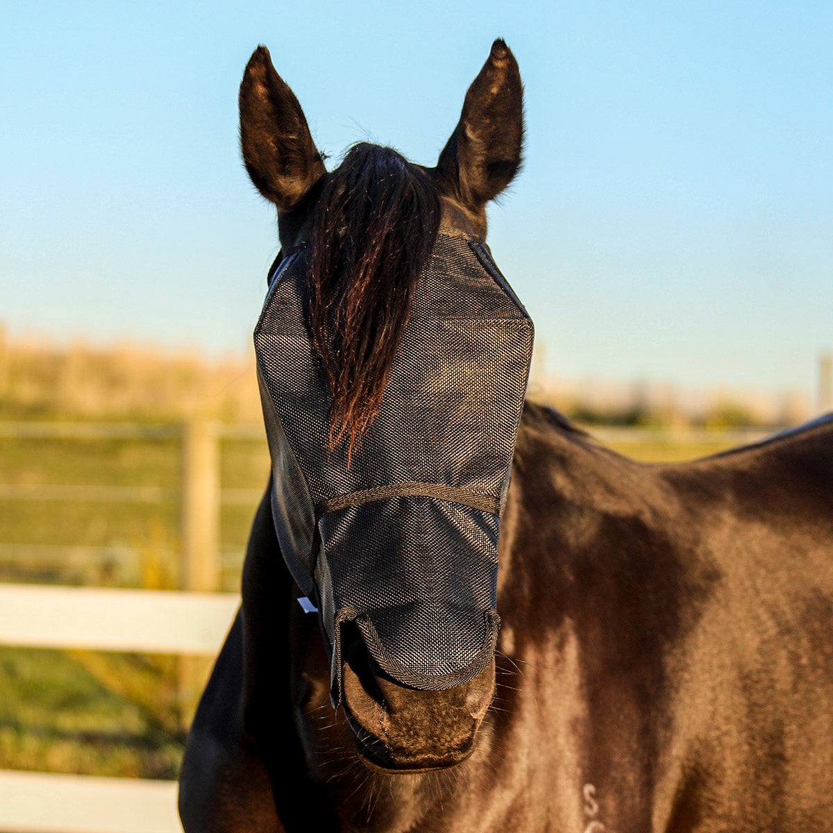 FLYVEILS BY DESIGN - EXTENDED NOSE  COVER FLY VEIL