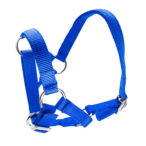 ALPACA HALTER