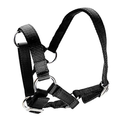 ALPACA HALTER
