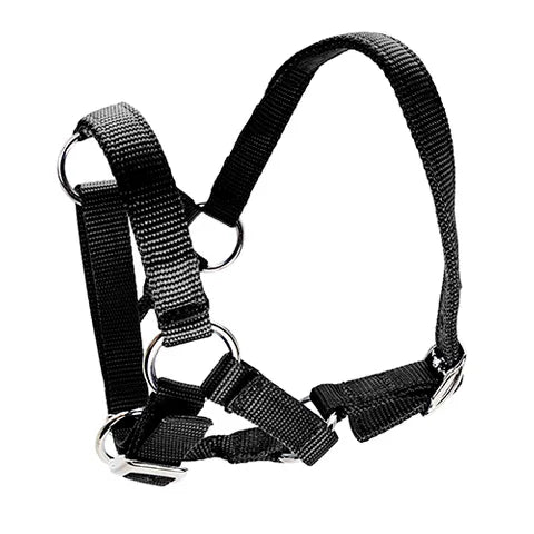 ALPACA HALTER