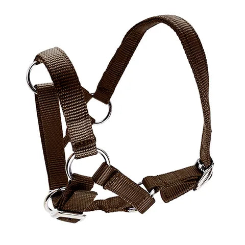 ALPACA HALTER