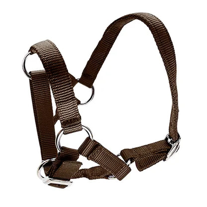 ALPACA HALTER