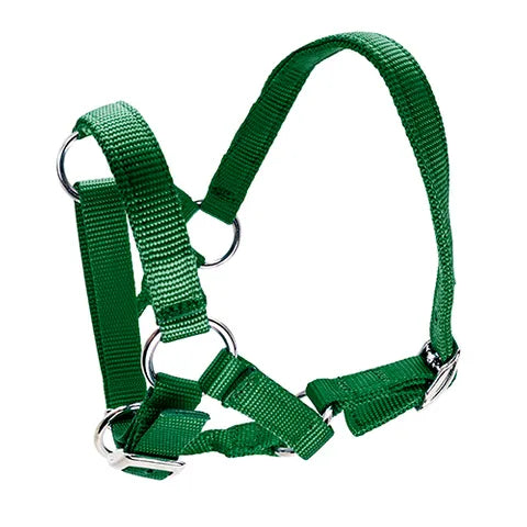 ALPACA HALTER