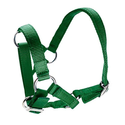ALPACA HALTER